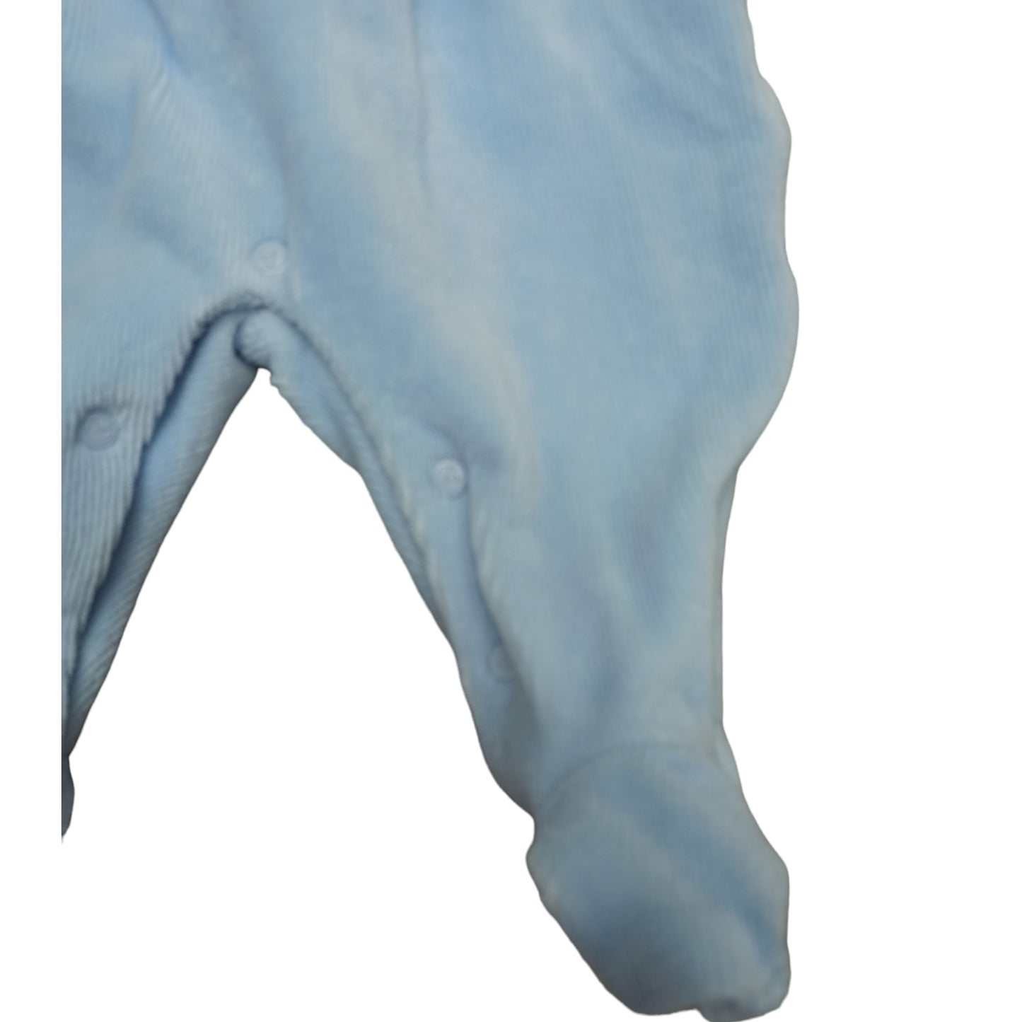 Tutina nascita ciniglia Nazareno Gabrielli NG 2110-24 A