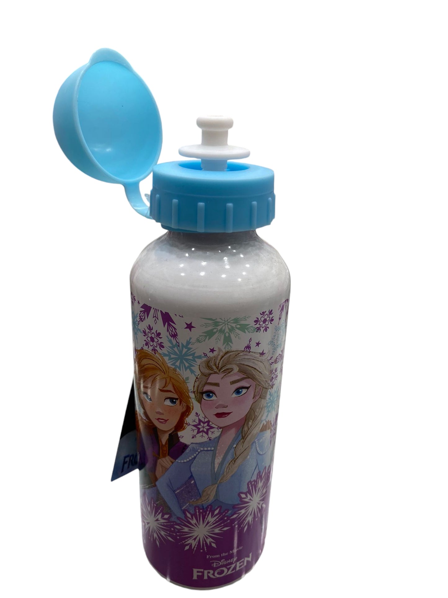 Borraccia termica metallo Frozen D04080
