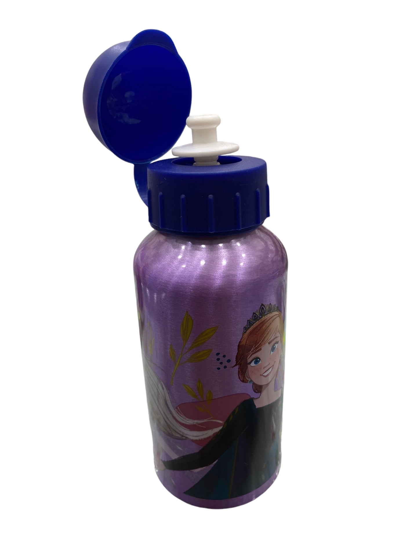 Borraccia termica metallo Frozen 74234