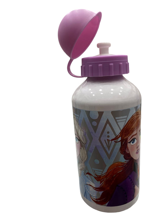 Borraccia termica metallo Frozen 51039