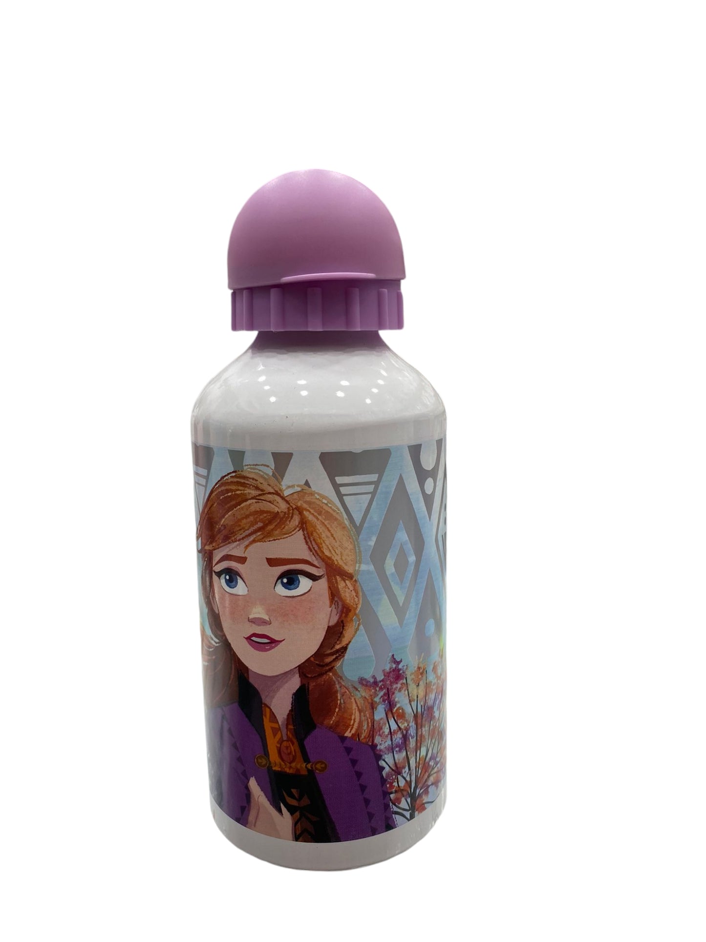 Borraccia termica metallo Frozen 51039