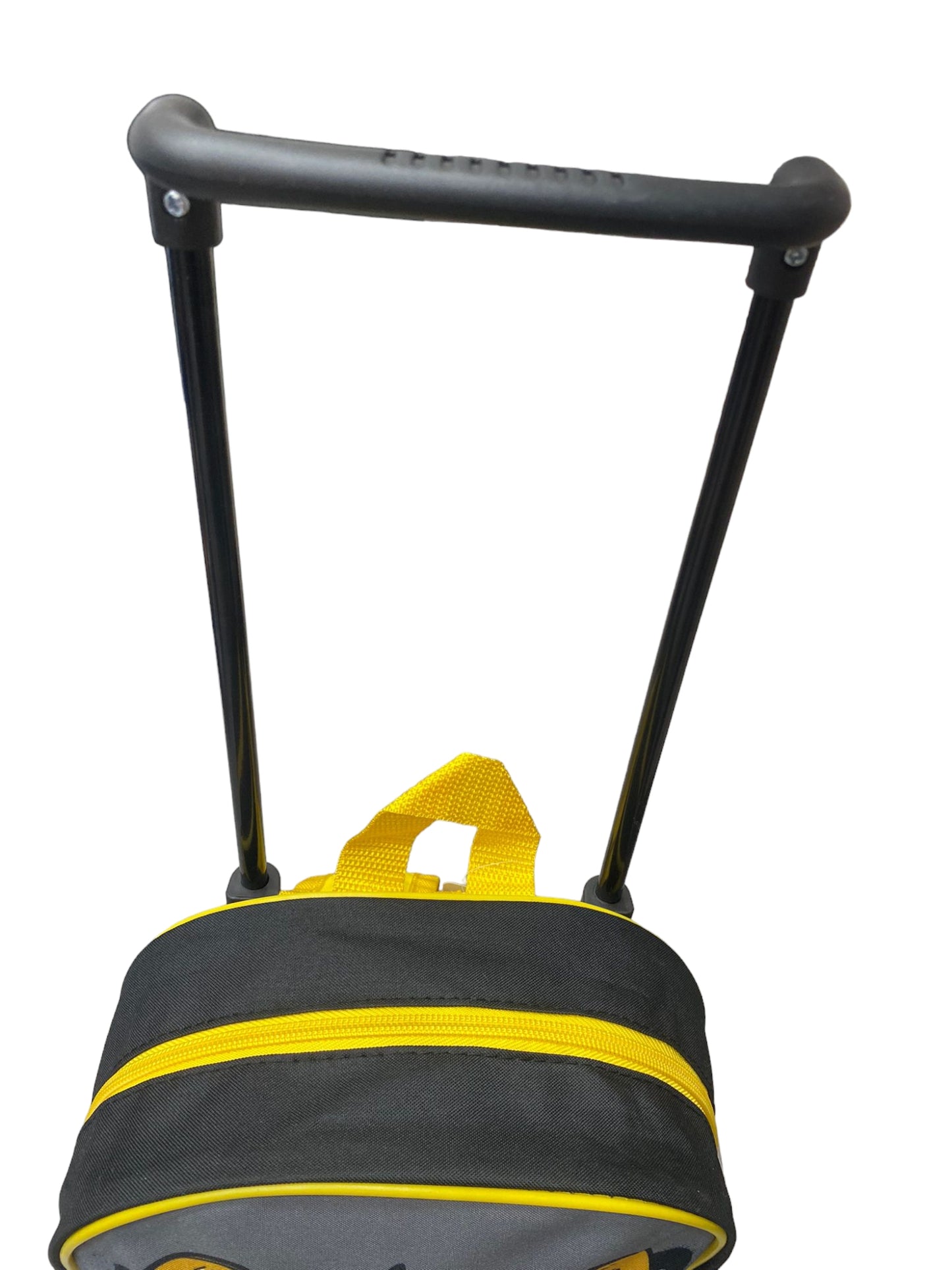 Trolley asilo Pokemon