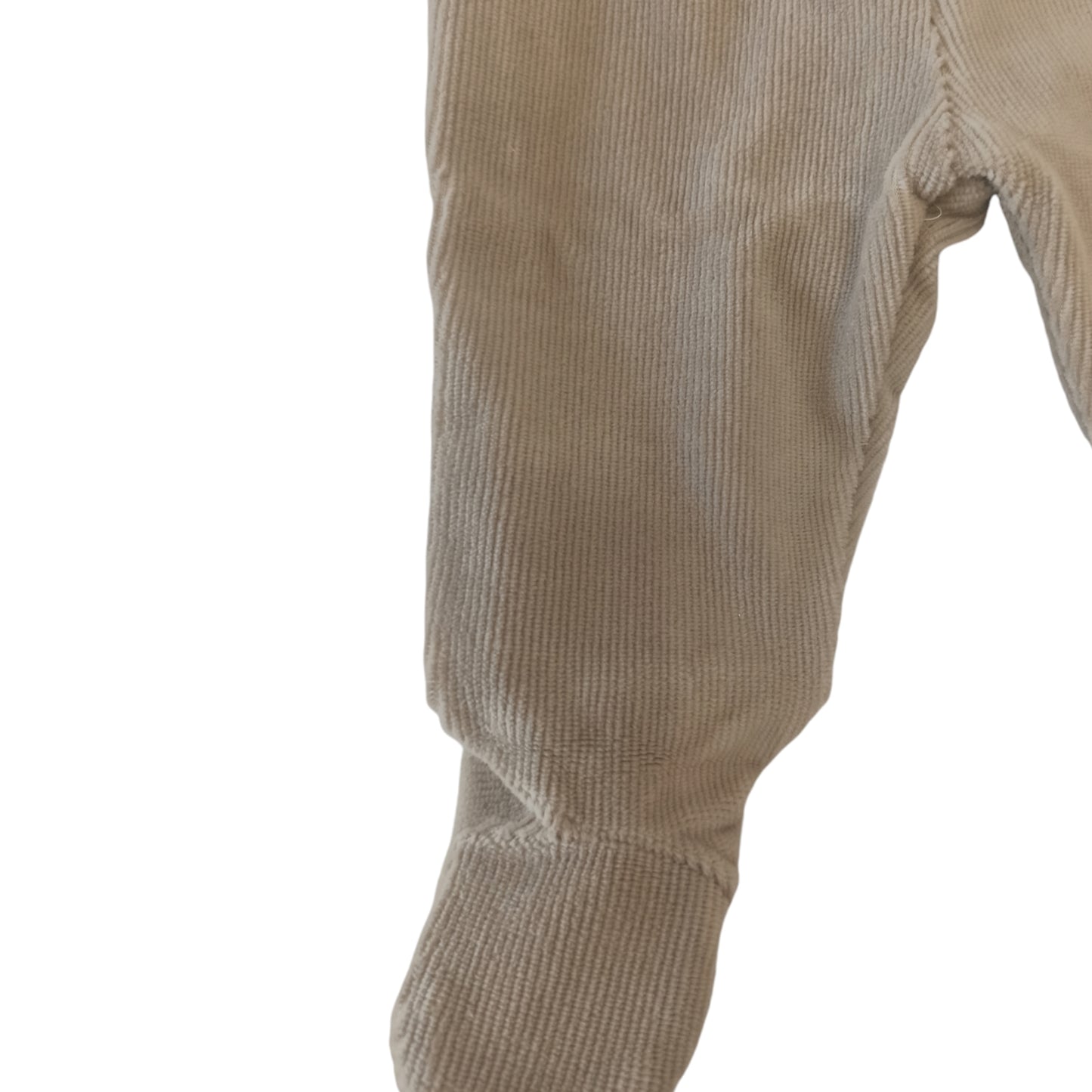 Completo clinico nascita ciniglia Nazareno Gabrielli NG 2120-24 W